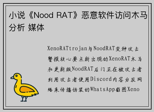 小说《Nood RAT》恶意软件访问木马分析 媒体