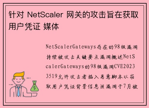 针对 NetScaler 网关的攻击旨在获取用户凭证 媒体