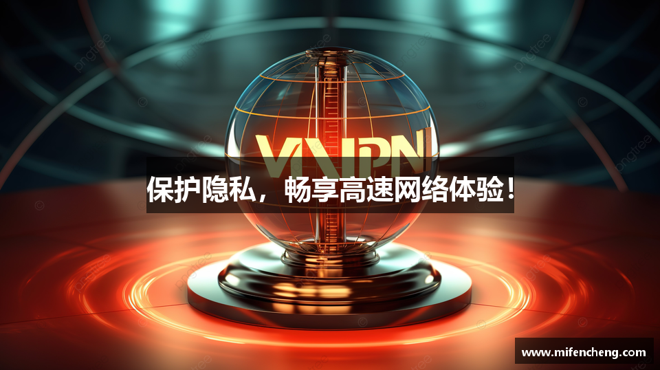 保护隐私，畅享高速网络体验！